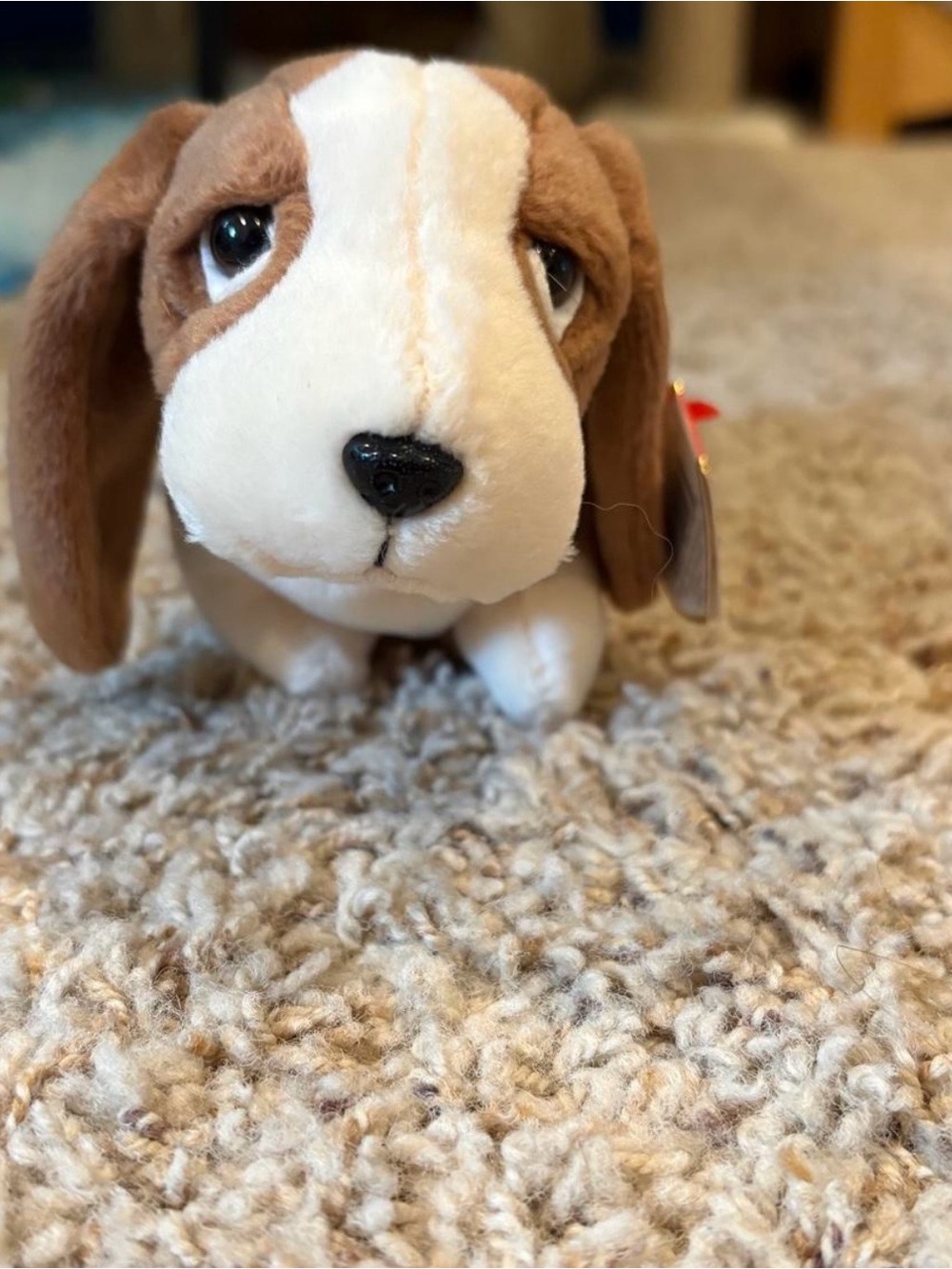 Tracker the beagle Ty Beanie Baby